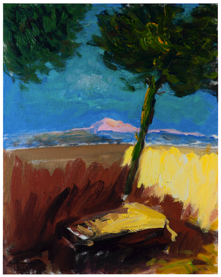 Patrice Giorda, Terrasse avec pins et montagne I, Acrylique sur toile, H 92 x L 73 cm, 2023