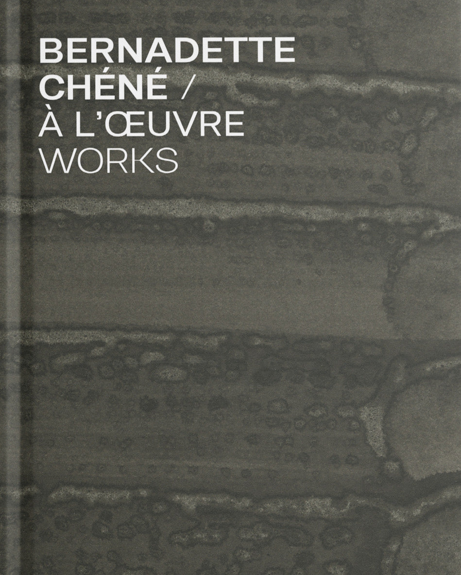 Bernadette Chéné, À l'oeuvre