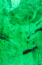 Charger l&#39;image dans la galerie, Illés SARKANTYU, &quot;La Paix, Sarrebourg&quot;, Tirage pigmentaire sur papier Baryté Hahnemühle, H 30 x L 20 cm, 2014
