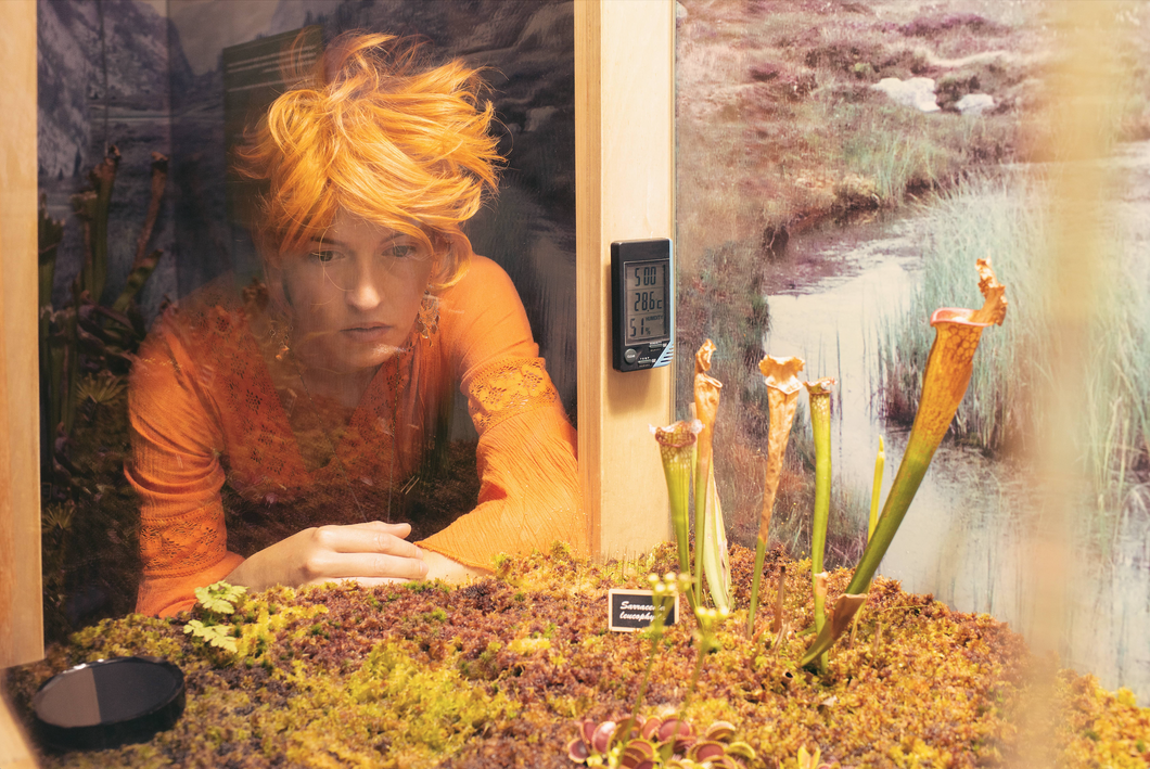 Elsa & Johanna, “Sarracenia leucophylla