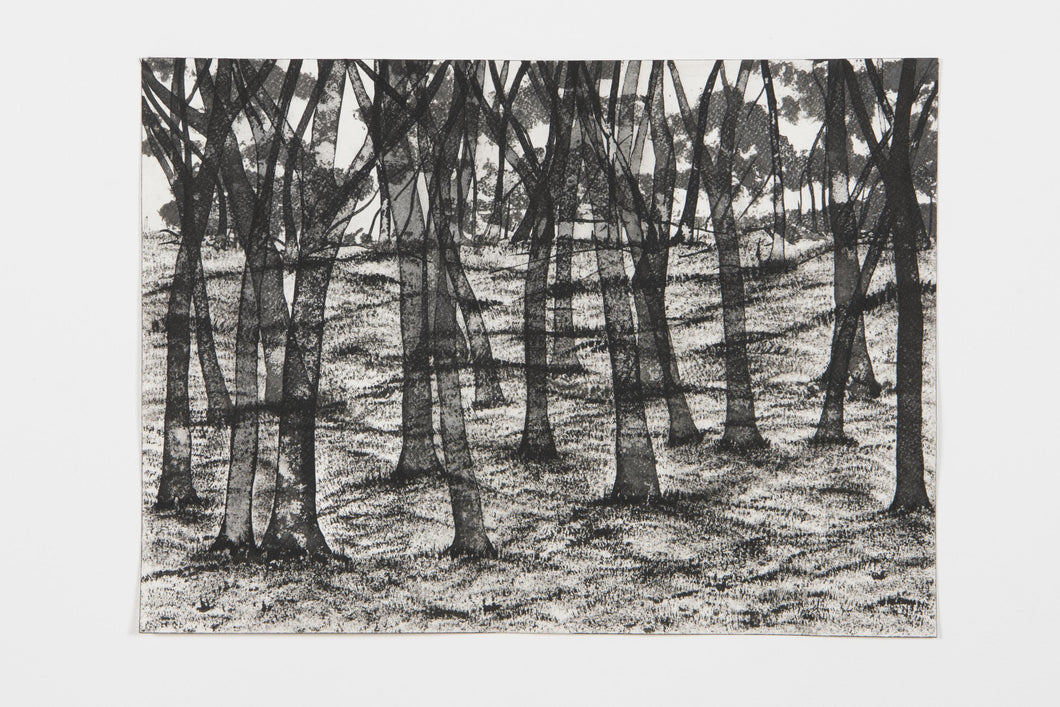 David Décamp, 'Sous-bois', Encre lavis sur papier Arche, 48 x 58 cm, 2016