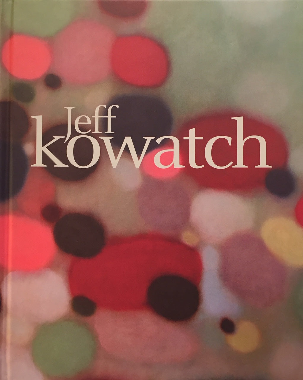 Jeff Kowatch. <i>Jeff Kowatch, Catalogue </i>. Earl Mc Grath Gallery NY, Galerie Vieille du Temple, 2009.